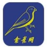 金雀网APP