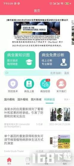 樱桃医生
