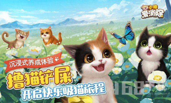 小猫爱消除