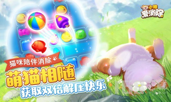 小猫爱消除