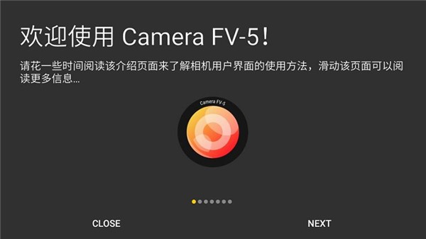 Camera FV 5