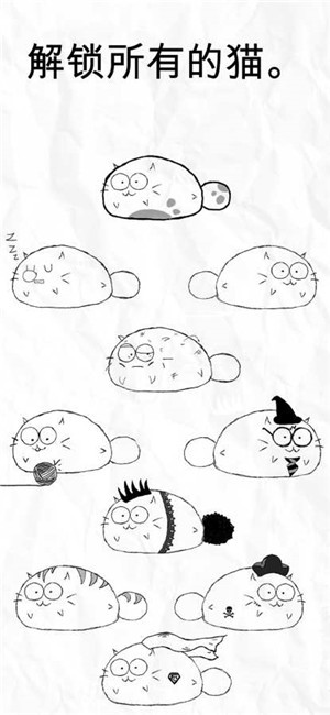 fattycat肥猫