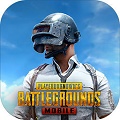 goto免费直装pubg