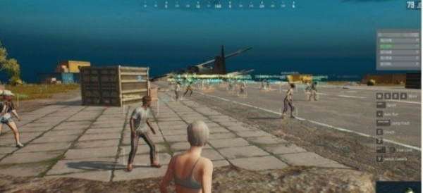 pubg内置悬浮窗