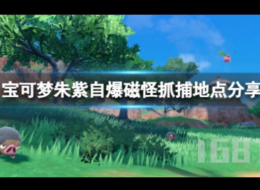 宝可梦朱紫自爆磁怪哪里可以抓 自爆磁怪抓捕地点汇总