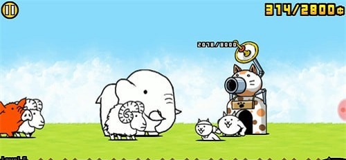 猫猫公园挑战
