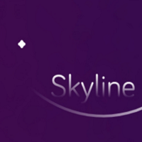 skyline模拟器汉化版