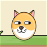 保护狗狗