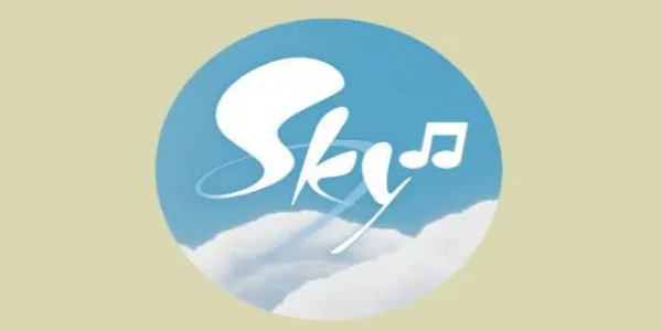 skyauto软件