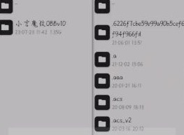 pubg小言魔改obb版怎么使用 吃鸡小言魔改obb版使用攻略