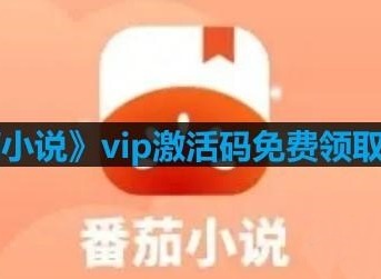 番茄小说2023vip激活码免费领取 番茄小说免费激活码长期有效
