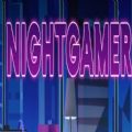 NIGHTGAMER夜游者