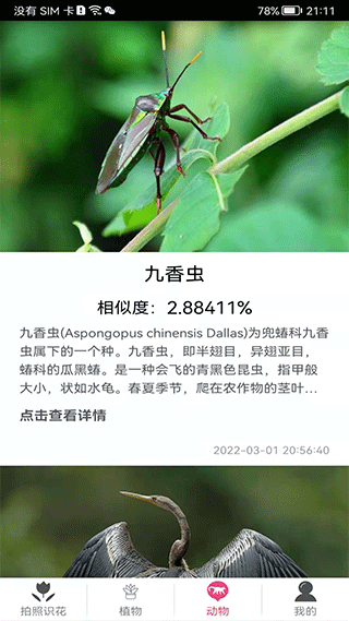 拍照识花神器