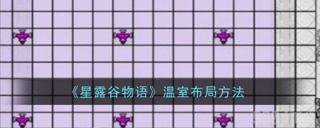 星露谷物语温室怎么布局 温室布局方法介绍