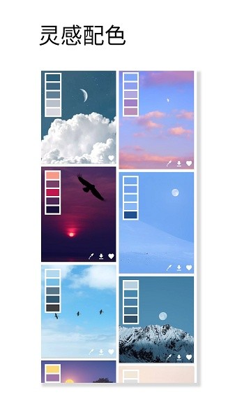 观色配色安卓版