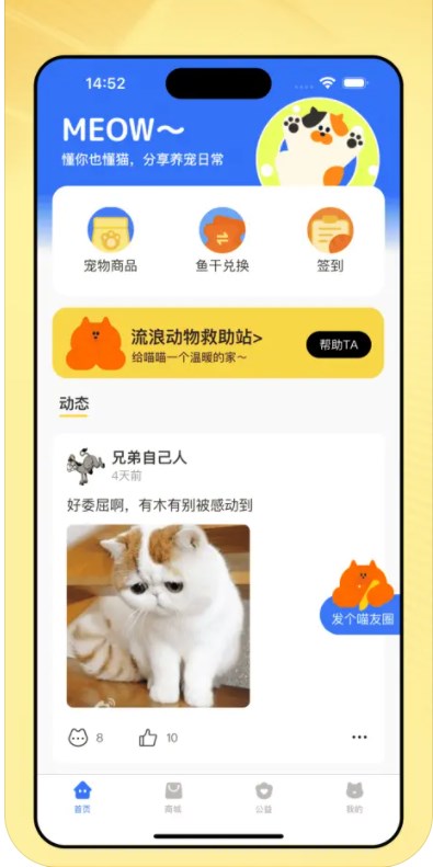 爱游猫