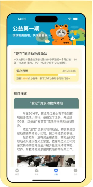 爱游猫