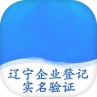 辽宁企业登记实名验证APP