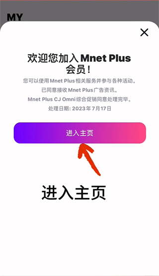 mnetplus投票的教程