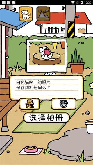 猫咪后院2