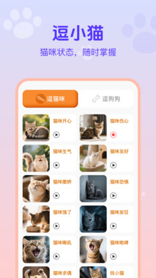 猫狗宠物交流助手